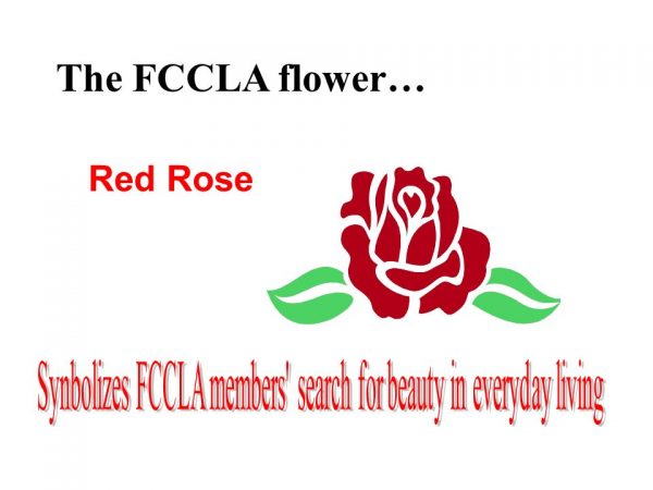 All About FCCLA - Delaware FCCLA